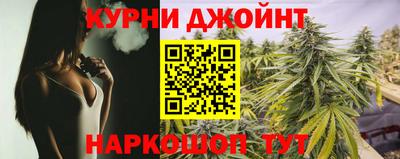 ешки Новодвинск